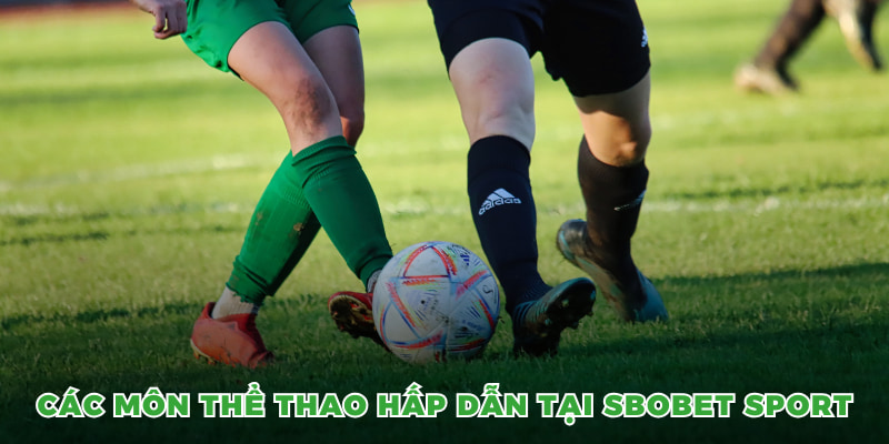 Các môn thể thao hấp dẫn tại Sbobet Sport